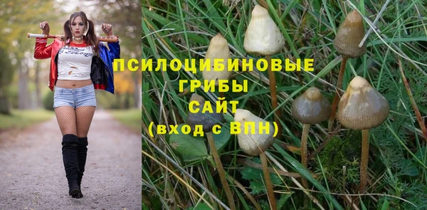 героин Новодвинск