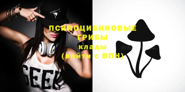 прущая мука Новозыбков