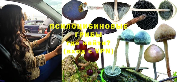 героин Новодвинск